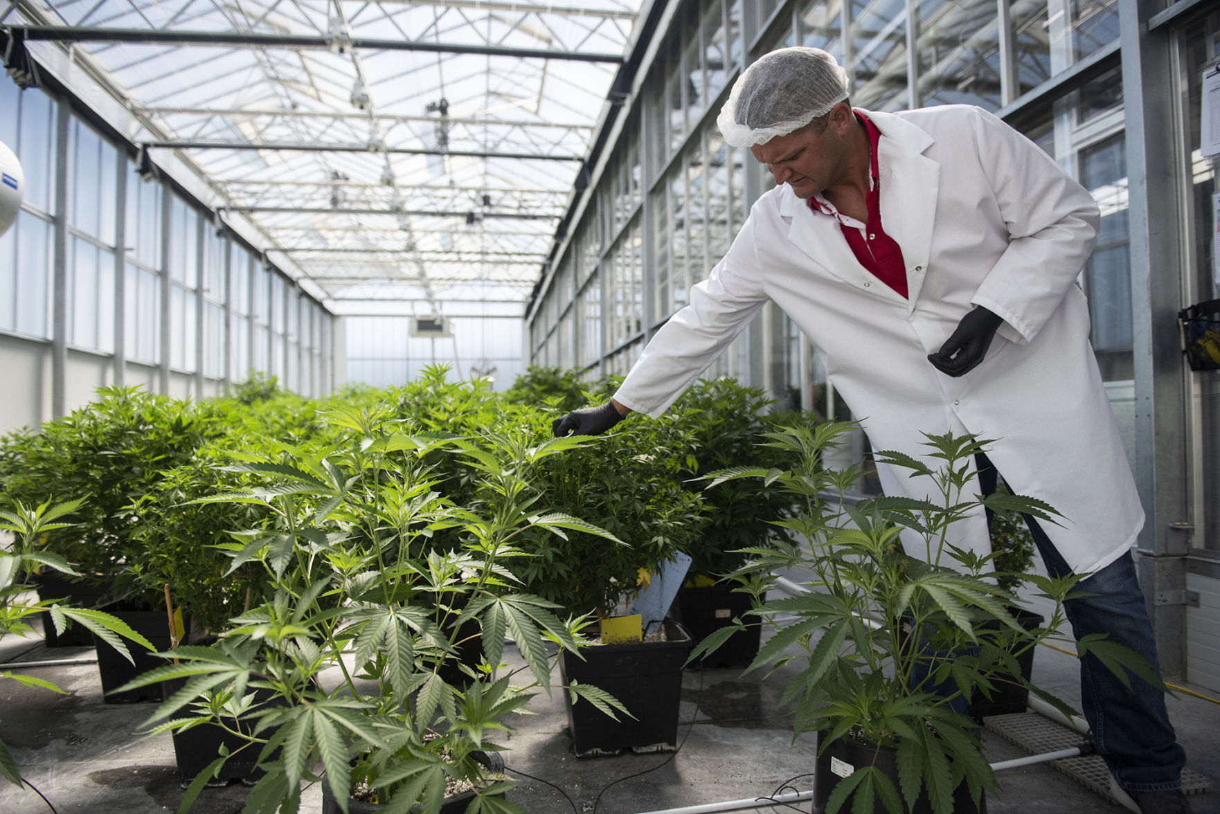 Exchange-Cannabis Industry